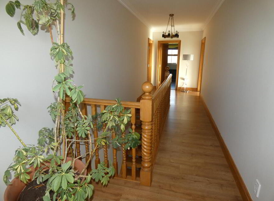 55 Drumskea Road, Ballymoney, BT53 7JD