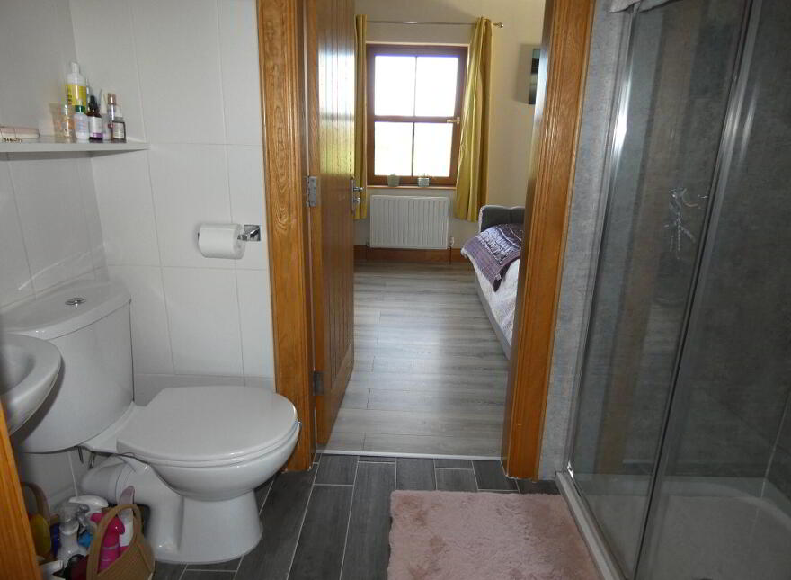 55 Drumskea Road, Ballymoney, BT53 7JD
