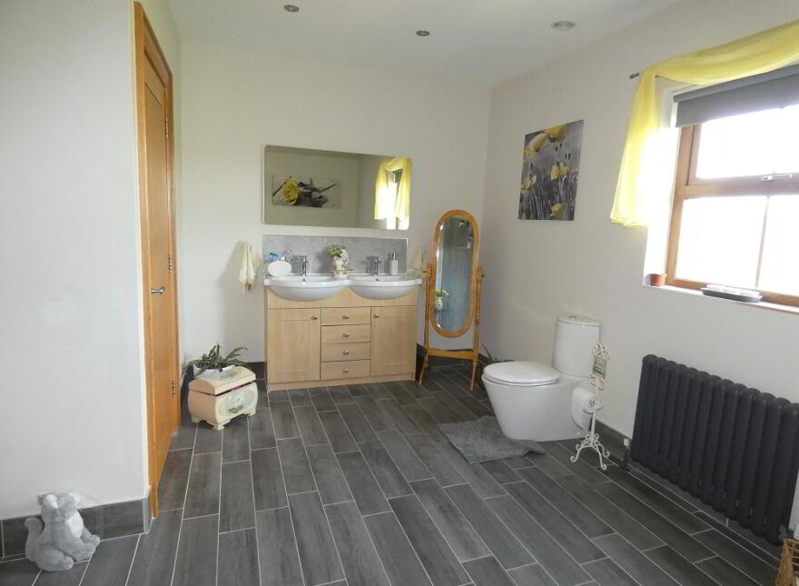 55 Drumskea Road, Ballymoney, BT53 7JD