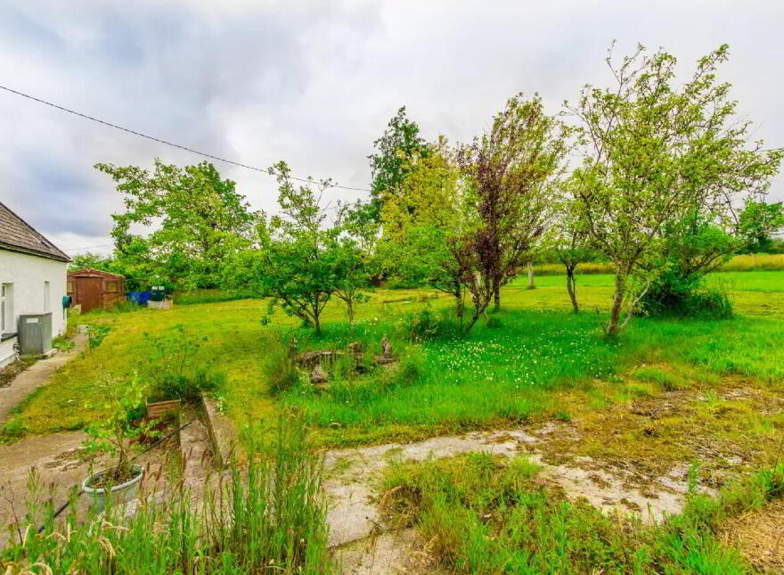 Cathdel Cottage, Clooneragh, Strokestown, F42HX49