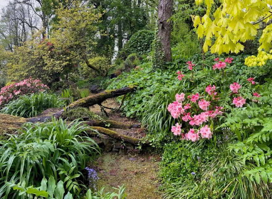 Flowerhill House, Ballyduff, Lismore, P51E2Y9