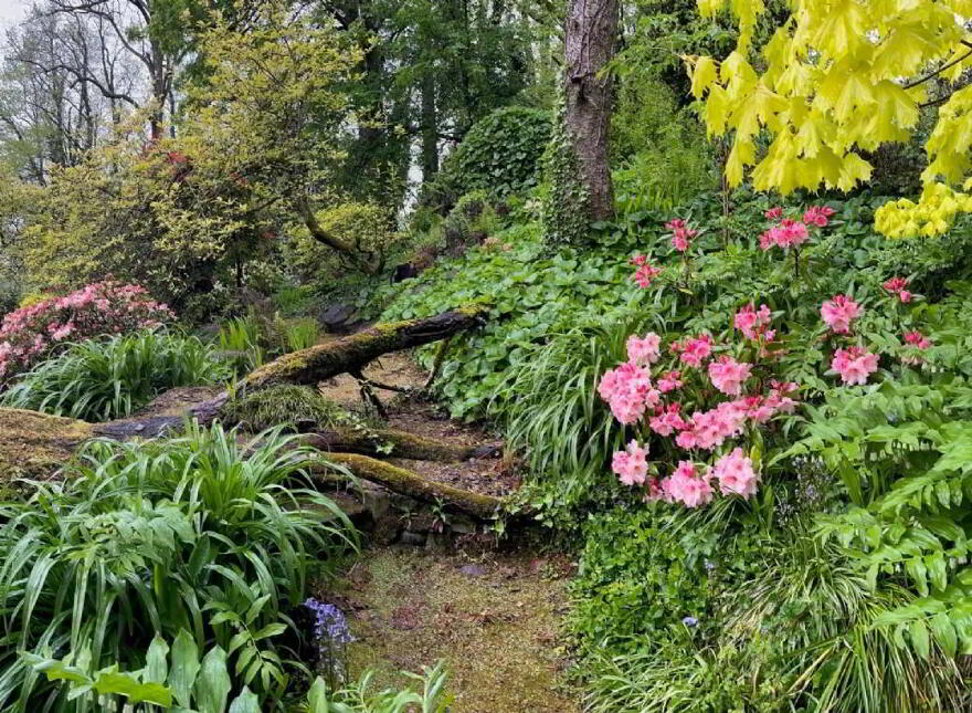 Flowerhill House, Ballyduff, Lismore, P51E2Y9