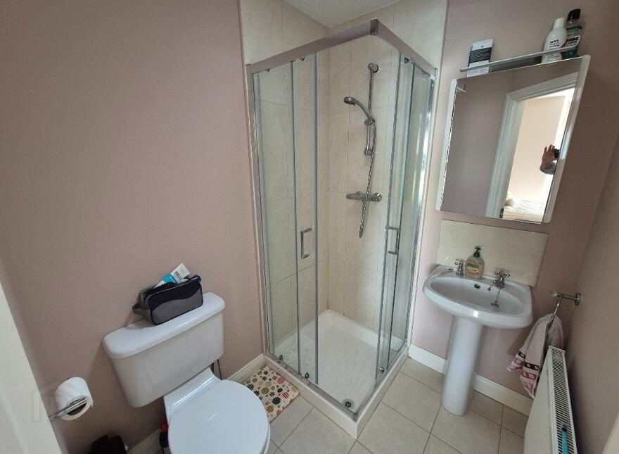 46 Browneshill Wood, Browneshill Road, R93H9C0
