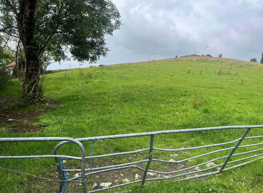 Derelict Cottage On 8 Acres, Raferagh, Carrickmacross
