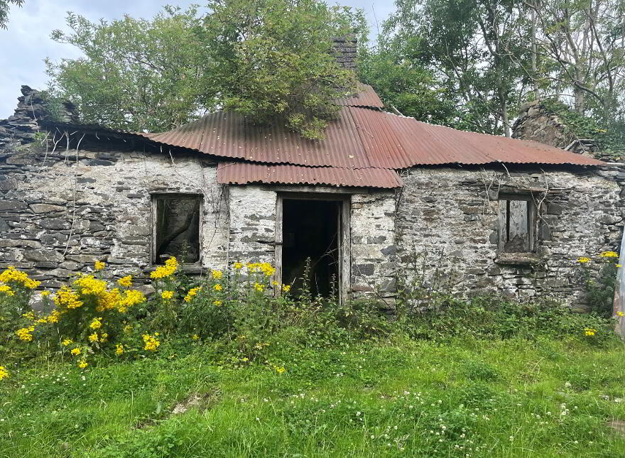 Derelict Cottage On 8 Acres, Raferagh, Carrickmacross photo