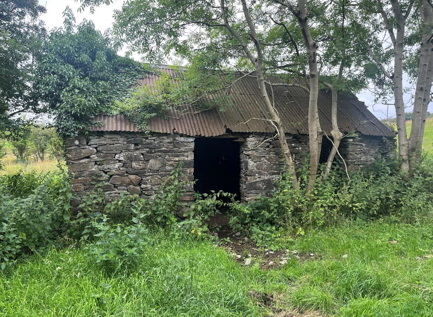 Derelict Cottage On 8 Acres, Raferagh, Carrickmacross