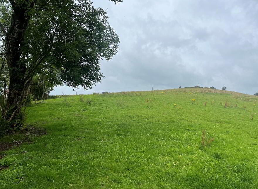 Derelict Cottage On 8 Acres, Raferagh, Carrickmacross