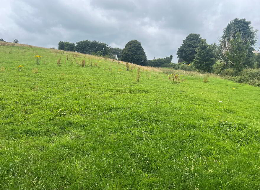 Derelict Cottage On 8 Acres, Raferagh, Carrickmacross