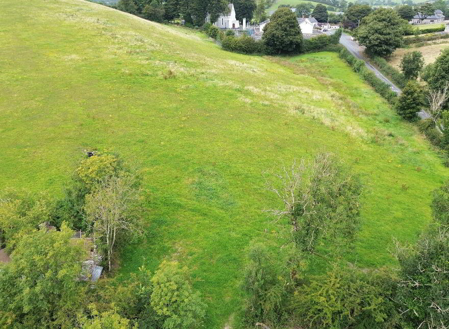 Derelict Cottage On 8 Acres, Raferagh, Carrickmacross