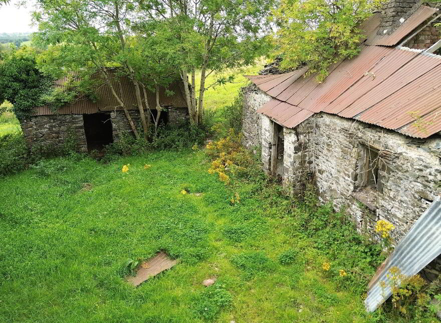 Derelict Cottage On 8 Acres, Raferagh, Carrickmacross