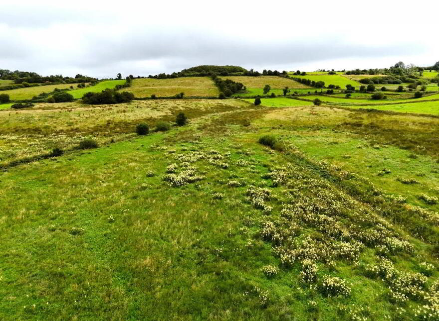 Tullinacurra, Swinford, F12SX46