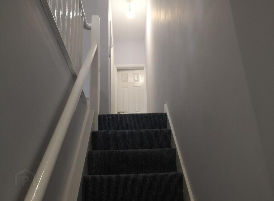 11 Ava Parade, Belfast, BT7 3BU