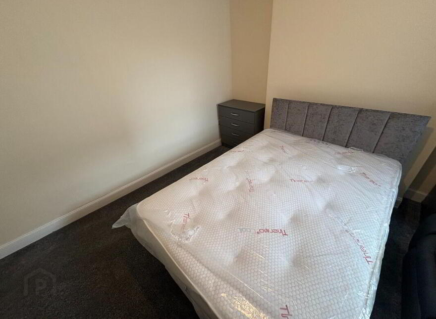 Apt 3, 112 Eglantine Avenue, Belfast, BT9 6EU