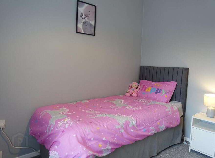 25 Burfits Hill, Irvinestown, BT94 1DY