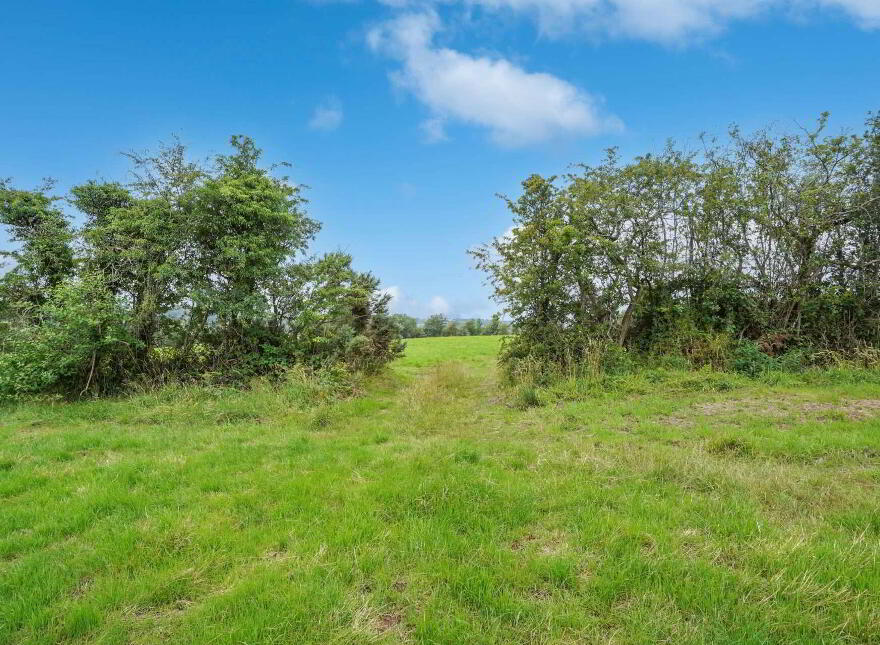 Screeboge, Moynalty, Kells