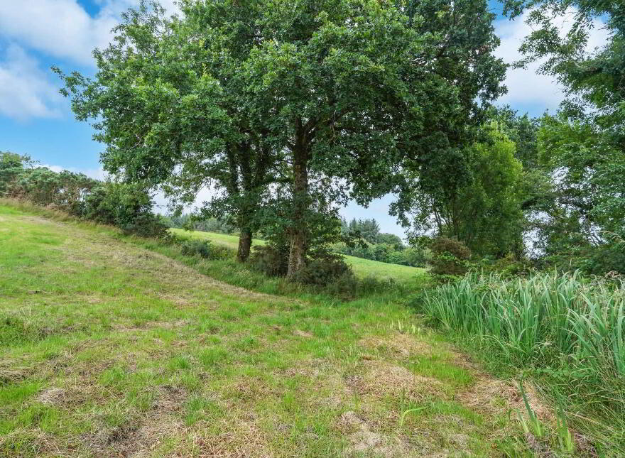 Screeboge, Moynalty, Kells