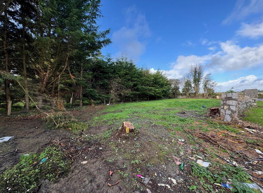 Carrowreagh, Hollymount,Mayo, F12YF78