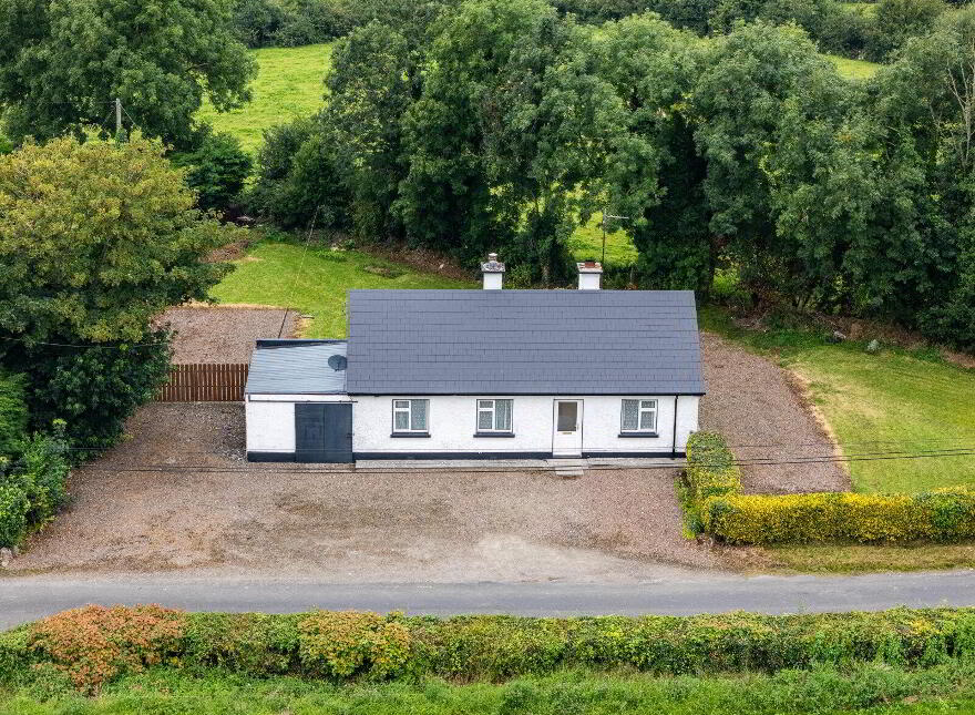 Ballagh, Newtowncashel, N39D393 photo