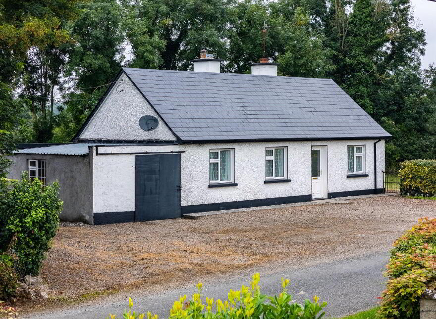 Ballagh, Newtowncashel, N39D393