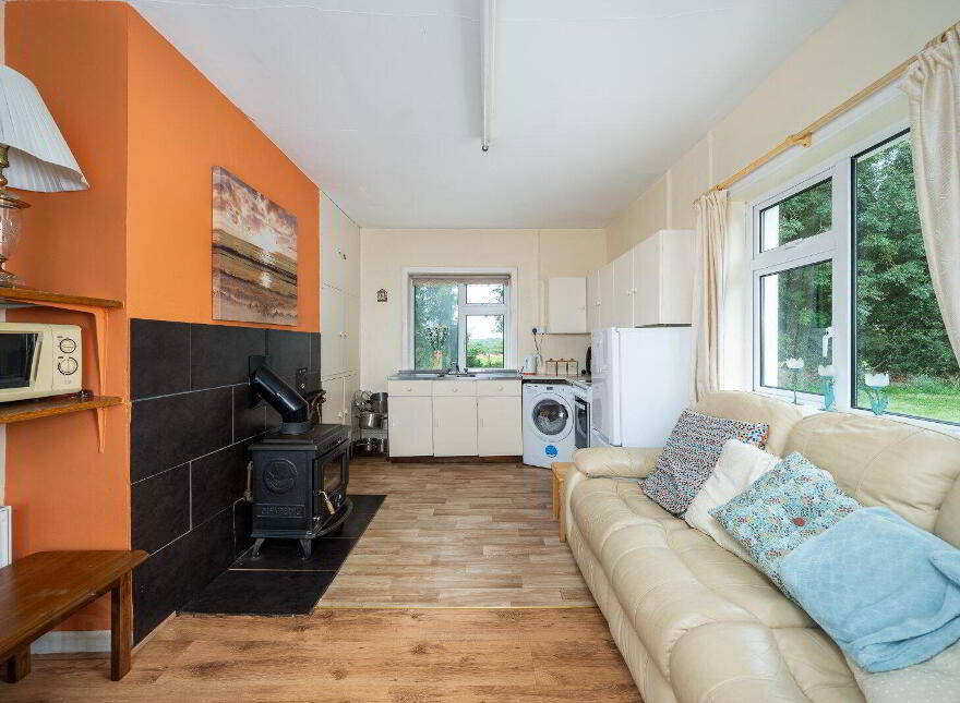 Ballagh, Newtowncashel, N39D393