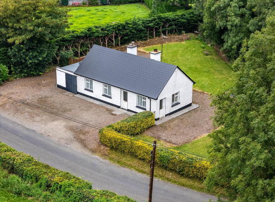 Ballagh, Newtowncashel, N39D393