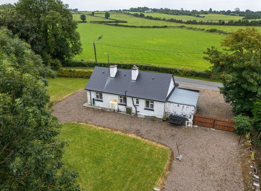 Ballagh, Newtowncashel, N39D393