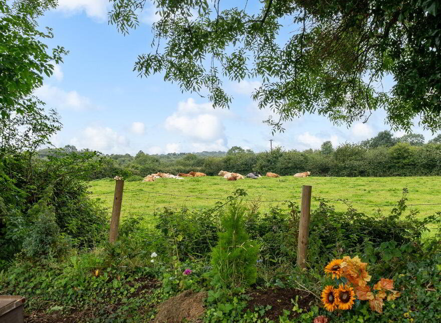 Ballagh, Newtowncashel, N39D393
