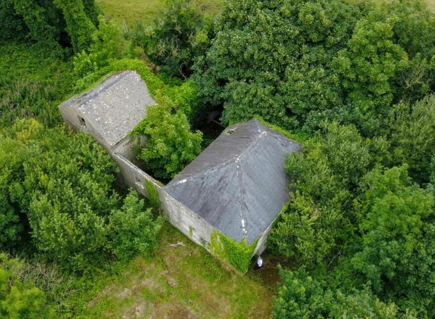 Derelict Mill, Forgney, Ballymahon photo