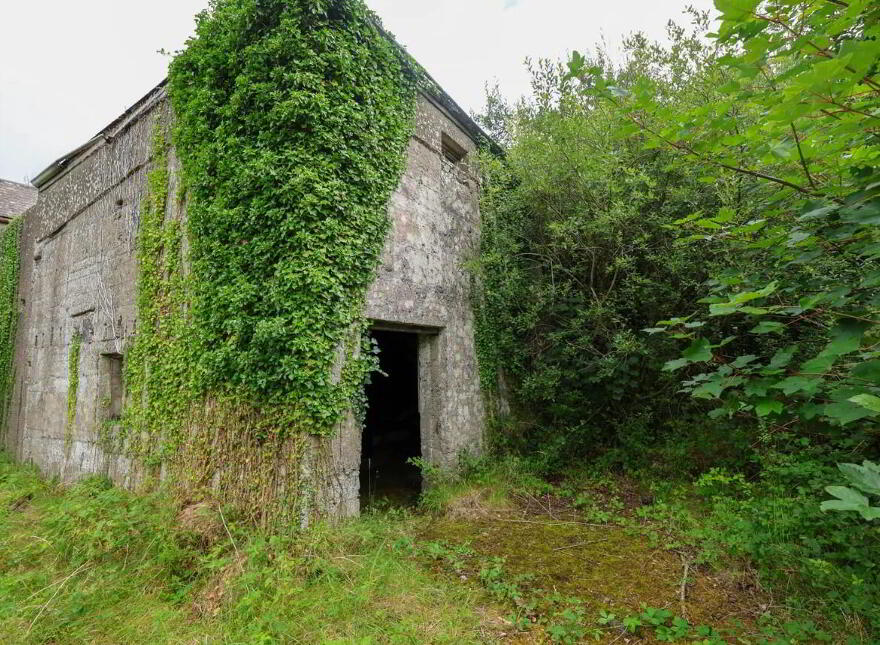 Derelict Mill, Forgney, Ballymahon