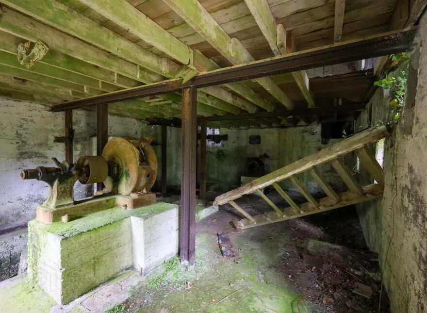 Derelict Mill, Forgney, Ballymahon
