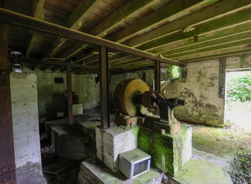 Derelict Mill, Forgney, Ballymahon