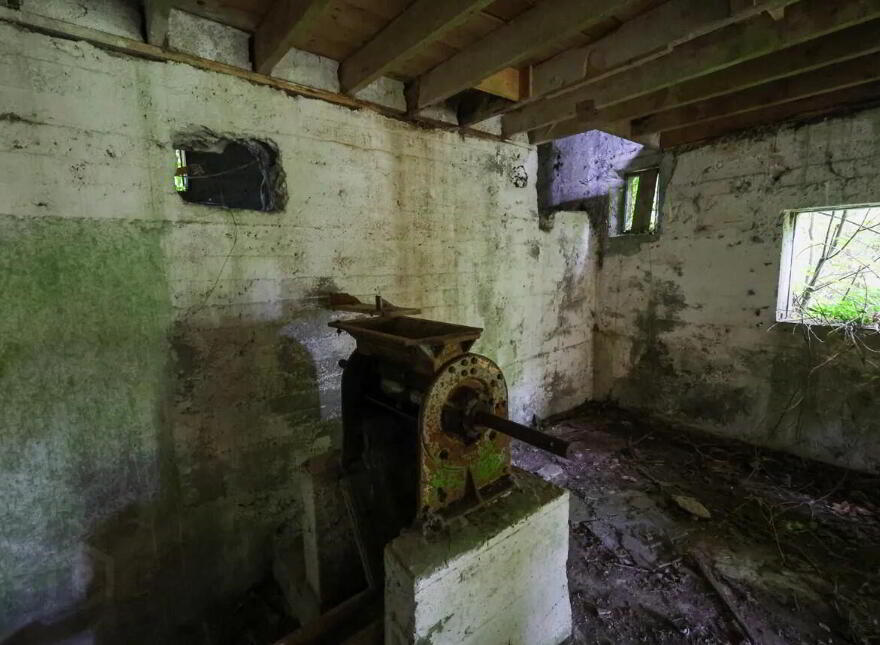 Derelict Mill, Forgney, Ballymahon