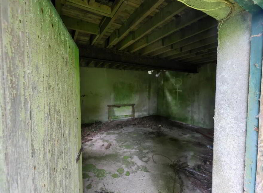 Derelict Mill, Forgney, Ballymahon
