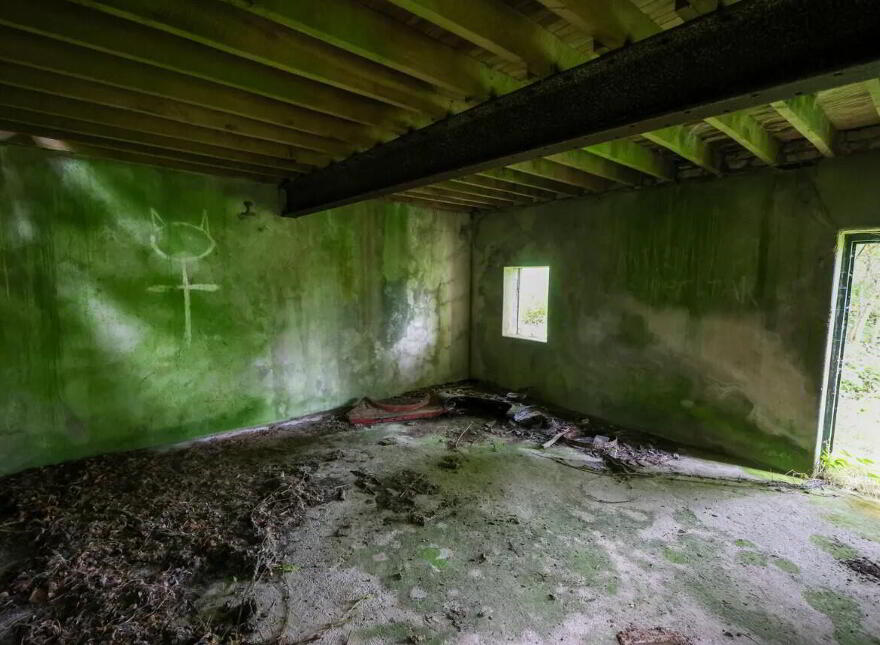 Derelict Mill, Forgney, Ballymahon