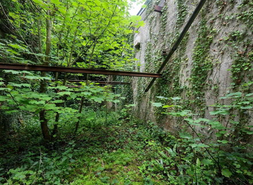 Derelict Mill, Forgney, Ballymahon