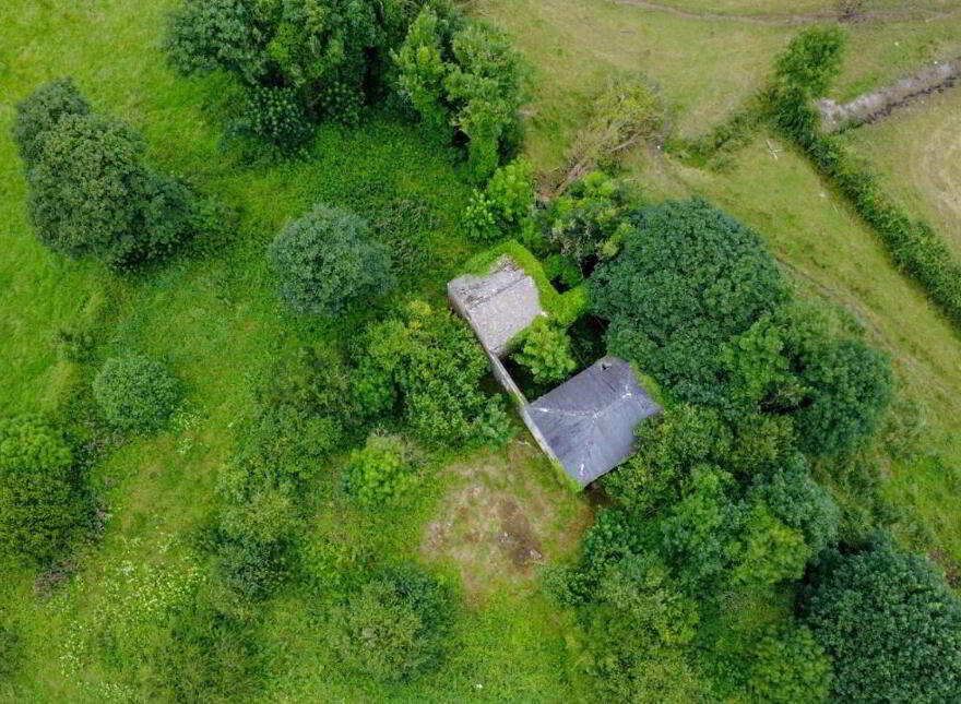 Derelict Mill, Forgney, Ballymahon