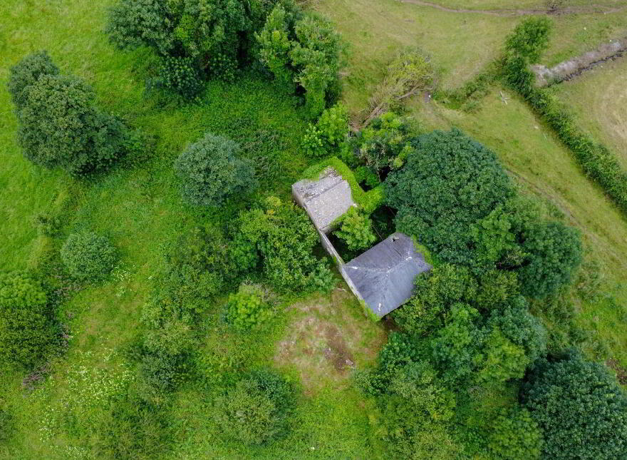 The Old Mill, Forgney, Ballymahon