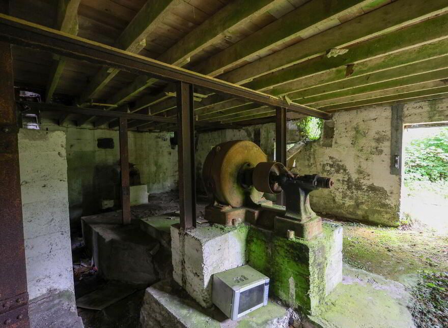 The Old Mill, Forgney, Ballymahon