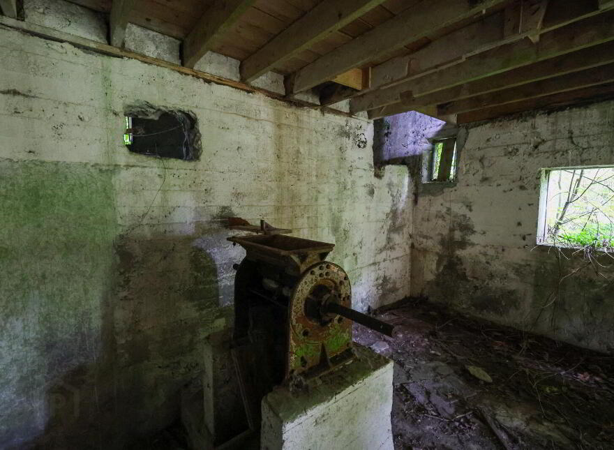 The Old Mill, Forgney, Ballymahon