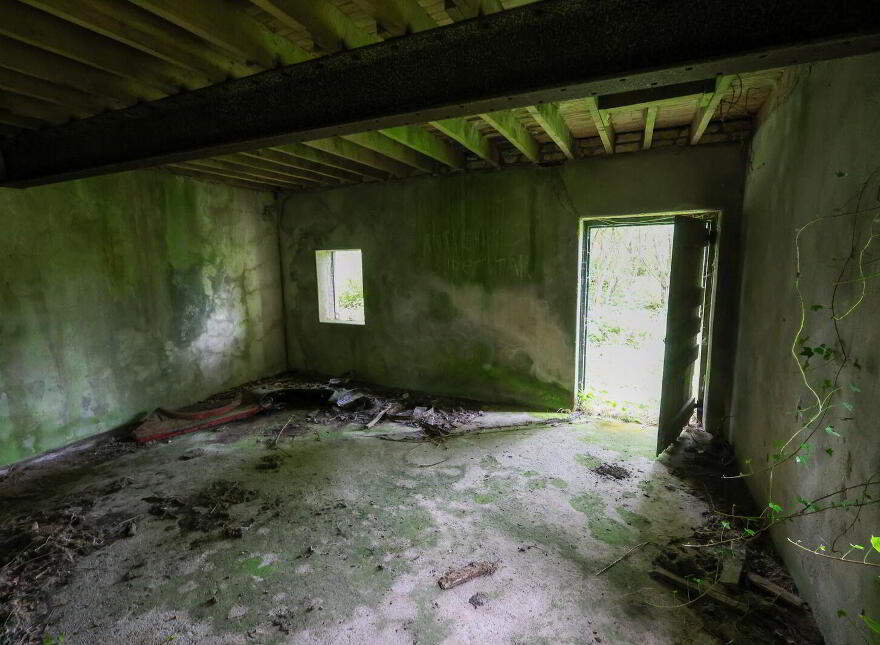 The Old Mill, Forgney, Ballymahon