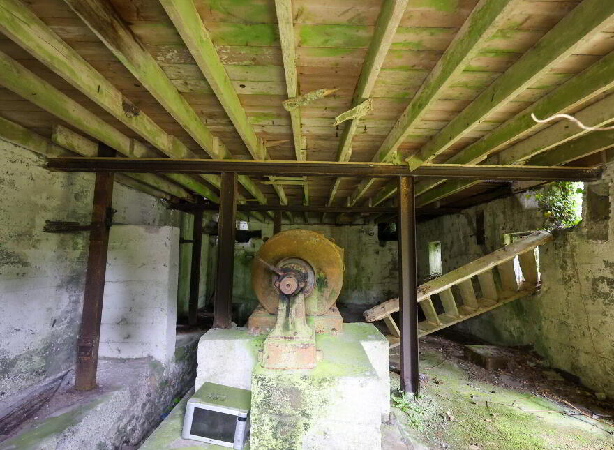 The Old Mill, Forgney, Ballymahon