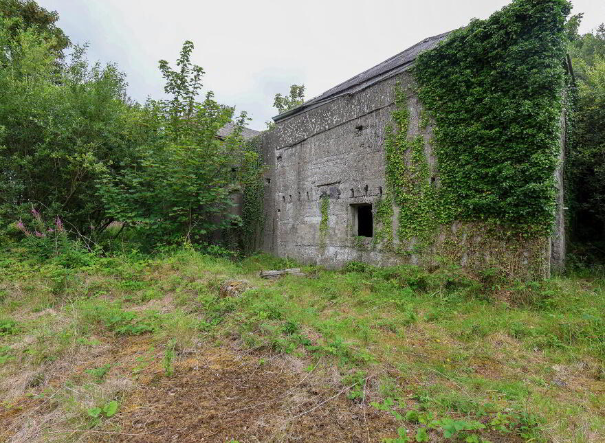 The Old Mill, Forgney, Ballymahon