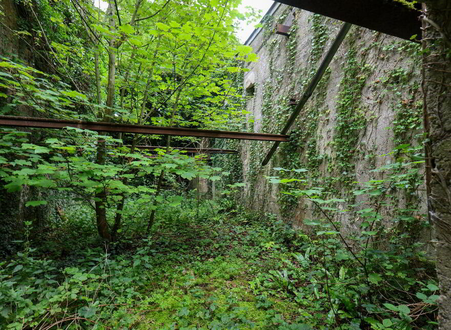 The Old Mill, Forgney, Ballymahon