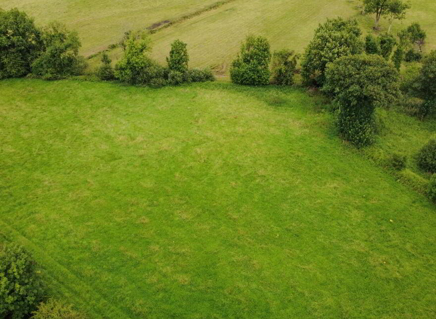 The Old Mill, Forgney, Ballymahon