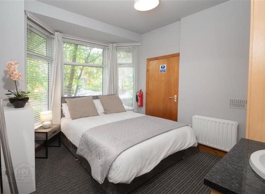 Room 1, 48 Delhi Street, Belfast, BT7 3AL photo