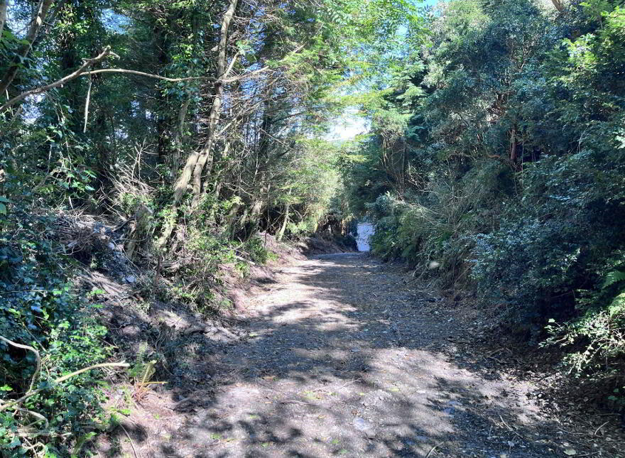 Ardagh West, Rosscarbery