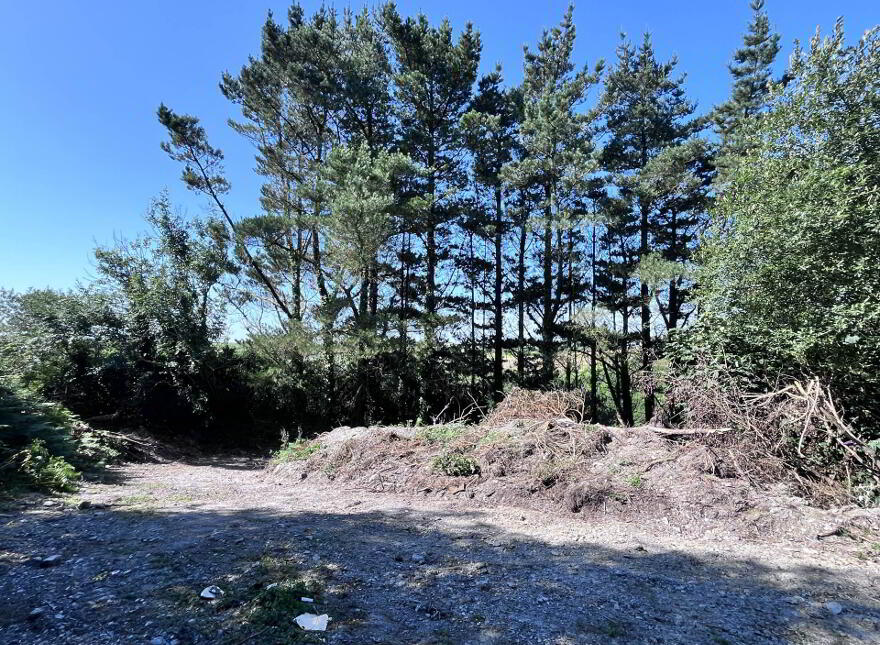 Ardagh West, Rosscarbery