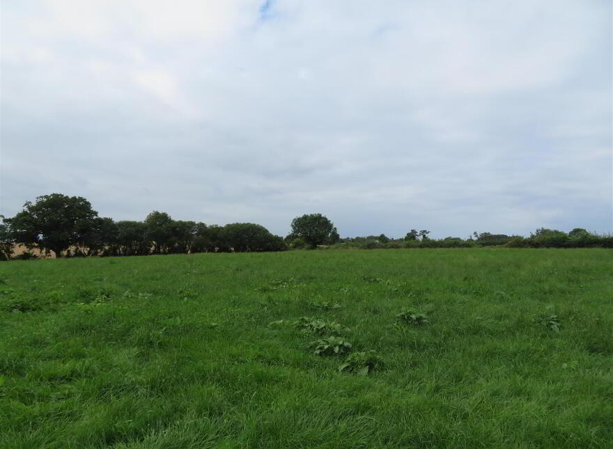 20 Brankinstown Road, Aghalee, Craigavon, BT67 0DF