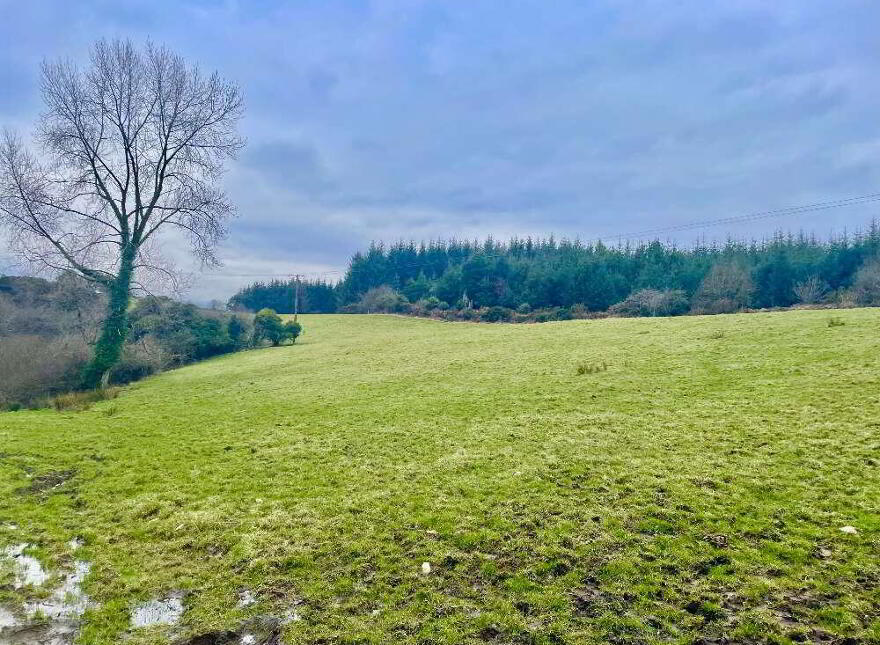 Knocknaglogh Lower And Lisgriffin, Aglish