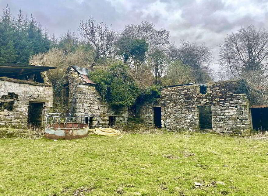 Knocknaglogh Lower And Lisgriffin, Aglish